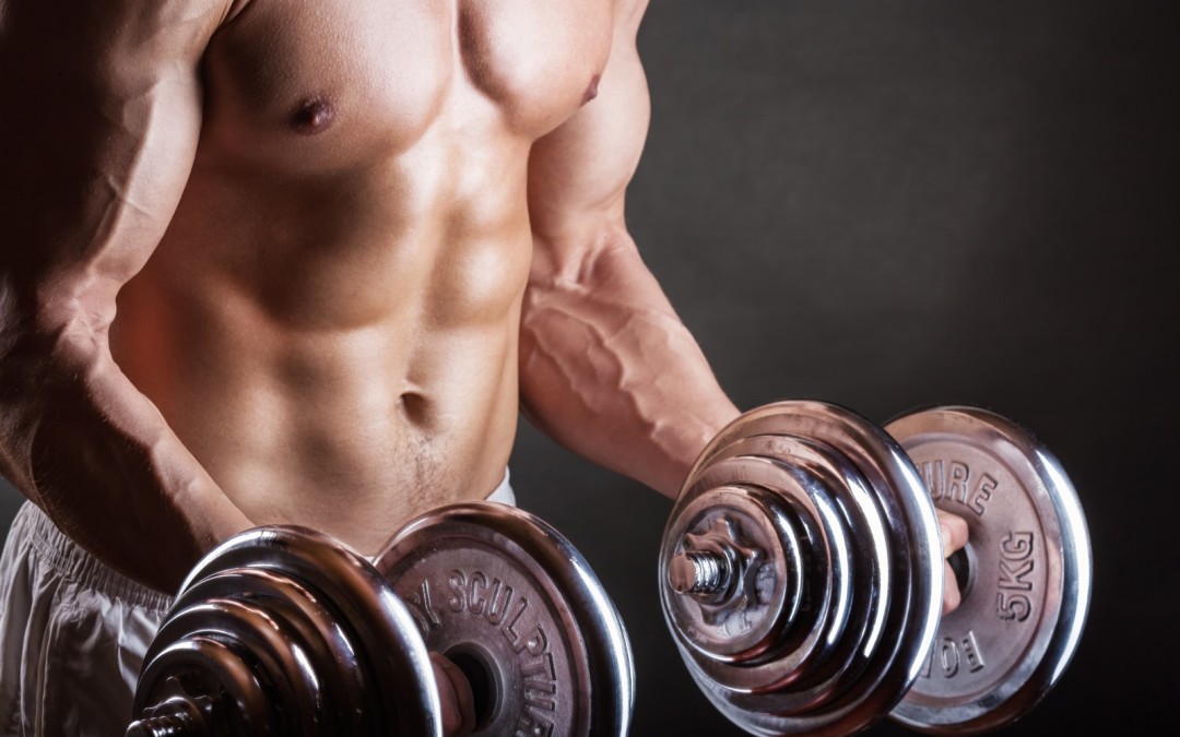 Weightlifting 101 – How To Bulk Up Quickly